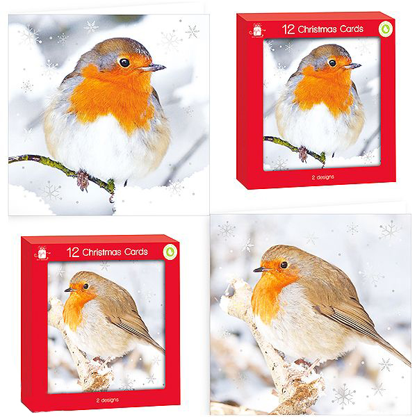 GIFTMAKER-SQUARE-ROBIN-ASSORTED-CHRISTMAS-CARDS-12-PACK-1.jpg